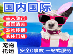禄口空运公司国际宠物托运 【国